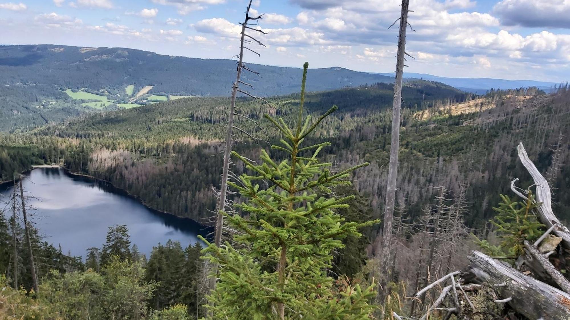 Apartmany U Ady Železná Ruda Exteriör bild